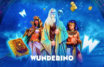 Wunderino Pro und Contra