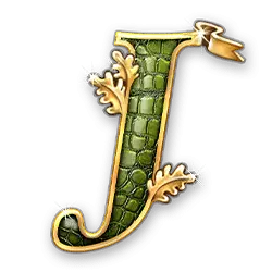 Icon 9