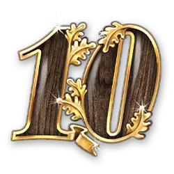 Icon 10