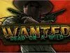 Wanted Dead Or A Wild