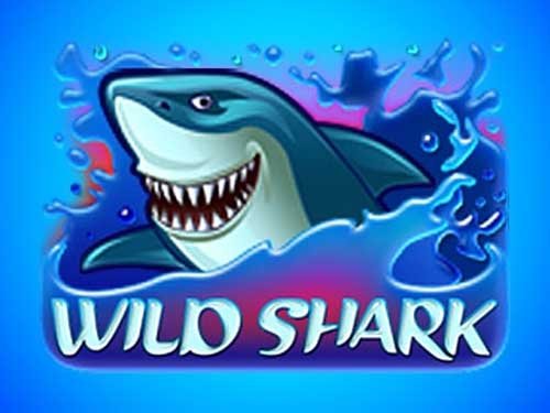 Wild Shark