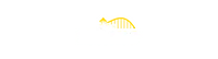 Rollino