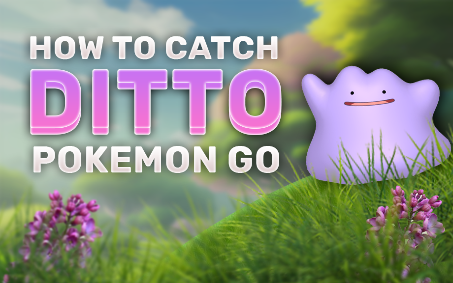 How To Catch A Ditto In Pokemon Go (November 2023)